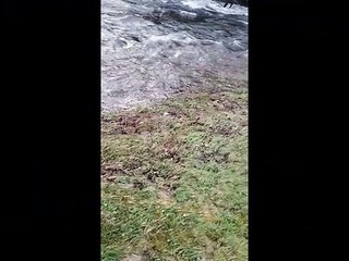 LA HAUTE VIENNE LIEN SOCIAL