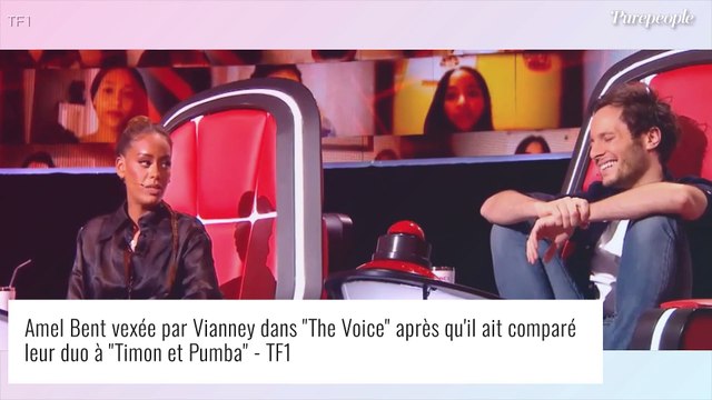 Amel Bent comparée à un phacochère, un malentendu évité de justesse avec Vianney