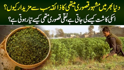 Famous Kasuri Methi Kese Kasht Ki Jati Hai? Naqli Kasuri Methi Kese Tayar Hoti Hai?