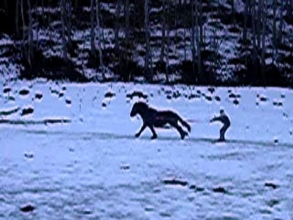 ski joering