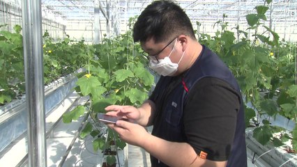 '스마트 팜' 뛰어드는 청년들...양질 일자리 확대 기대 / YTN