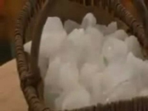 Salons et Forums Vis ta Nature