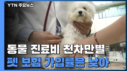 천차만별 진료비에...'펫 보험' 찾지만 가입률은 1.6% / YTN