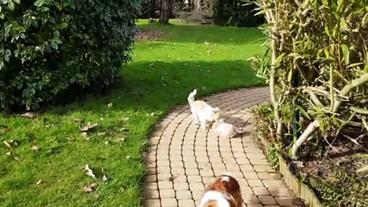 Il fait soleil enfin au jardin