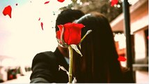 Rose Day 2021: Rose Day Wishes,Messages, Images, Facebook & Whatsapp status । Boldsky