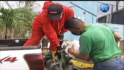 Sucumbíos: Se retiró propaganda electoral previo a la jornada de este domingo