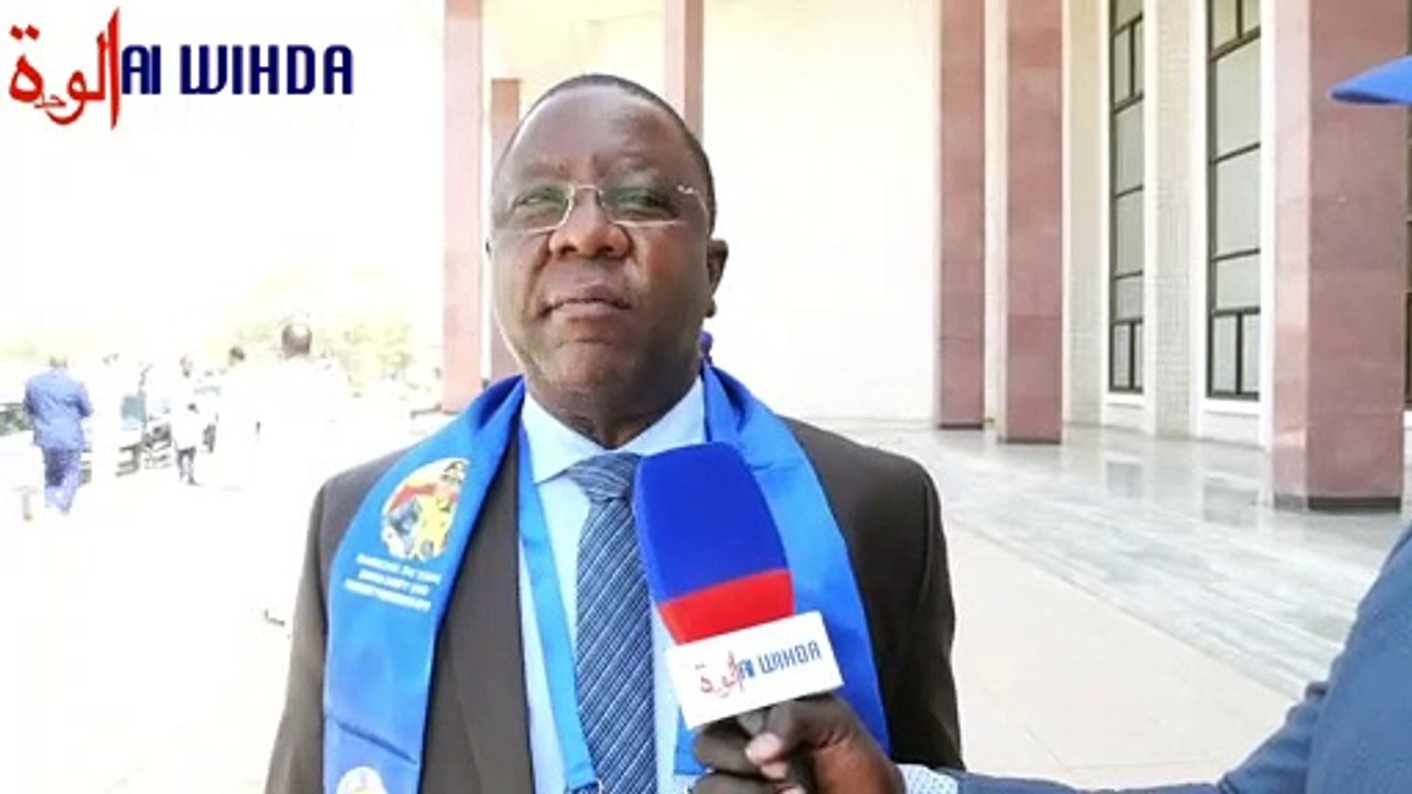 Tchad : "Ce sera un uppercut (...) En face, Les gens s’amusent, des agités, des manipulés" (PADARE)