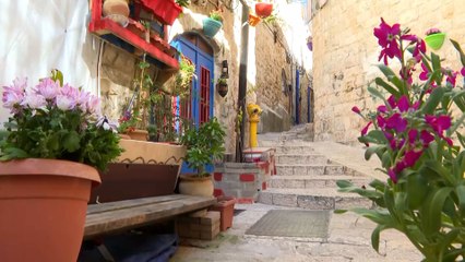 زراعة الورد.. مبادرة تزيين أبواب البلدة القديمة في القدس