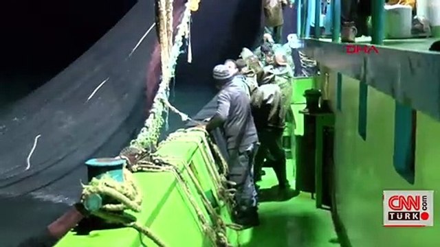 Ağlar hamsiyle doldu