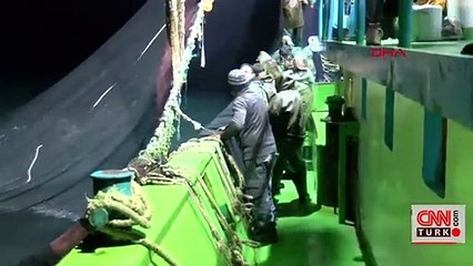 Ağlar hamsiyle doldu