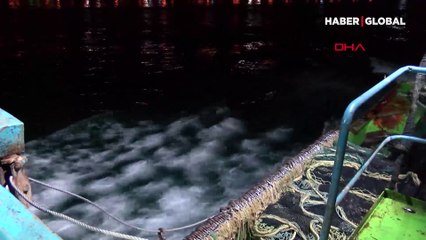 Karadeniz'de 'ek tedbirlerle' hamsi avı yeniden başladı