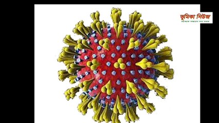 করোনা ও হান্টার  করোনার পর চীনে হান্টা ভাইরাস_ Hantavirus _ New virus in china