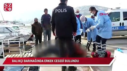 Balıkçı barınağında erkek cesedi bulundu