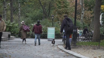 Descargar video: Estados Unidos pone por primera vez más de dos millones de vacunas en un día