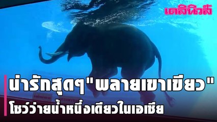 น่ารักสุดๆพลายเขาเขียว โชว์ว่ายน้ำหนึ่งเดียวในเอเชีย | Dailynews l 070264