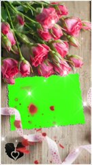 Rose Day Green Screen Status | happy rose green screen video | ROSE DAY | green effect video