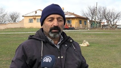 Köyün kedi ve köpekleri muhtara emanet