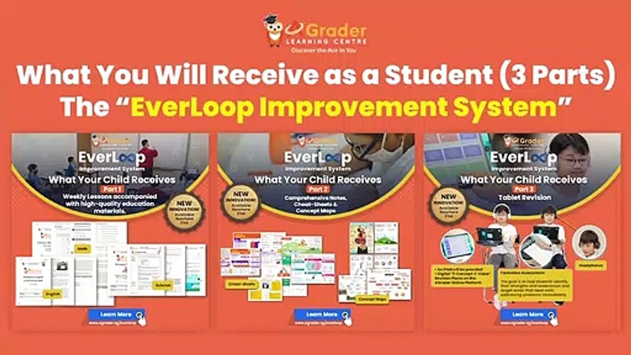 The EverLoop Improvement System