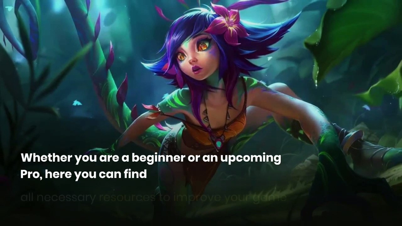 Pro Builds lolvvv