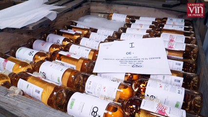 "Nous sommes fiers de relancer la consigne de bouteilles de vin en France"