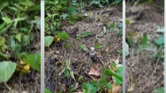 Cerca de 2.000 indígenas de Antioquia confinados por presencia de minas antipersonas