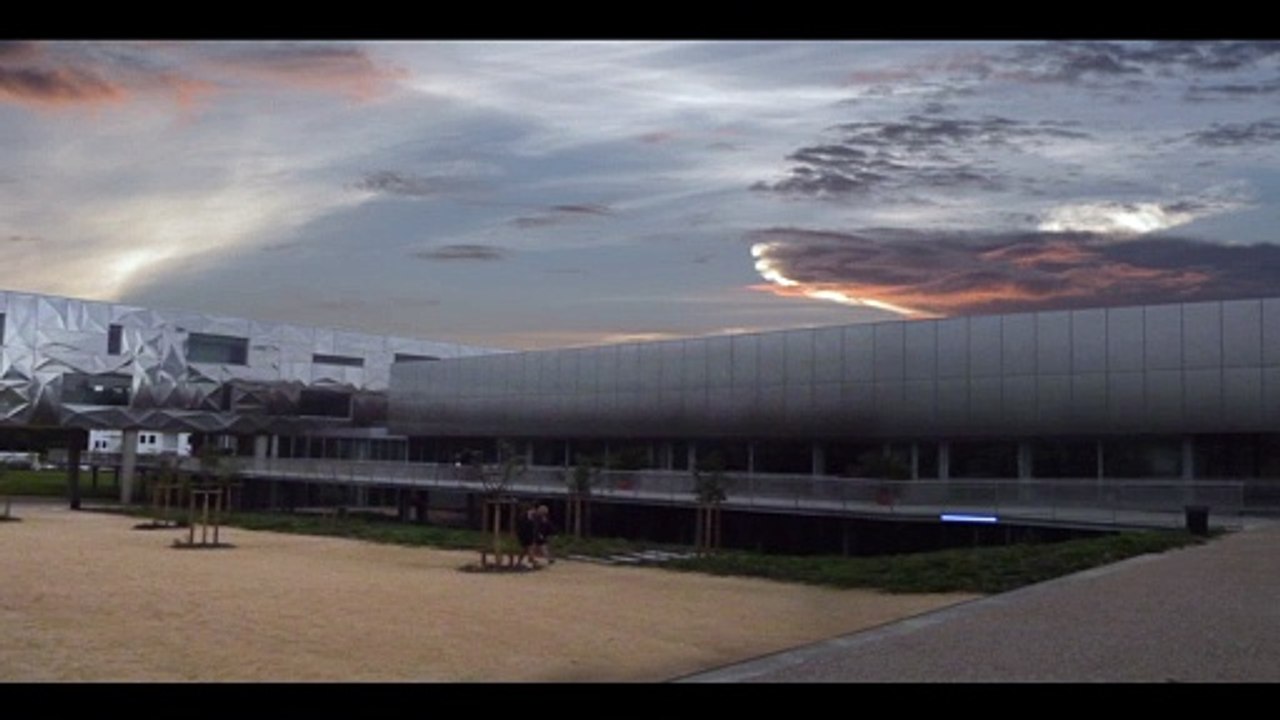 Patrice Hamel : Cinétique n° 4 (2011), Version N° 1 (2012)