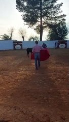 ALFONSO ALONSO TENTADERO FEBRERO 2021