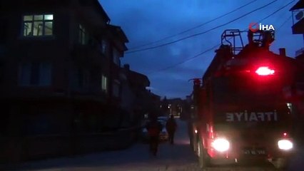 Kediyi böyle aradılar