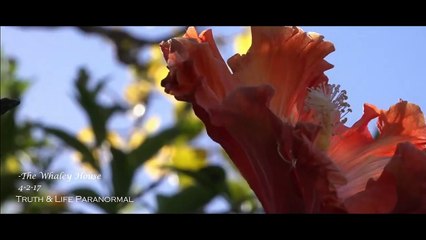 The Whaley House Paranormal Investigation 4-2-2017 (Re-Upload)