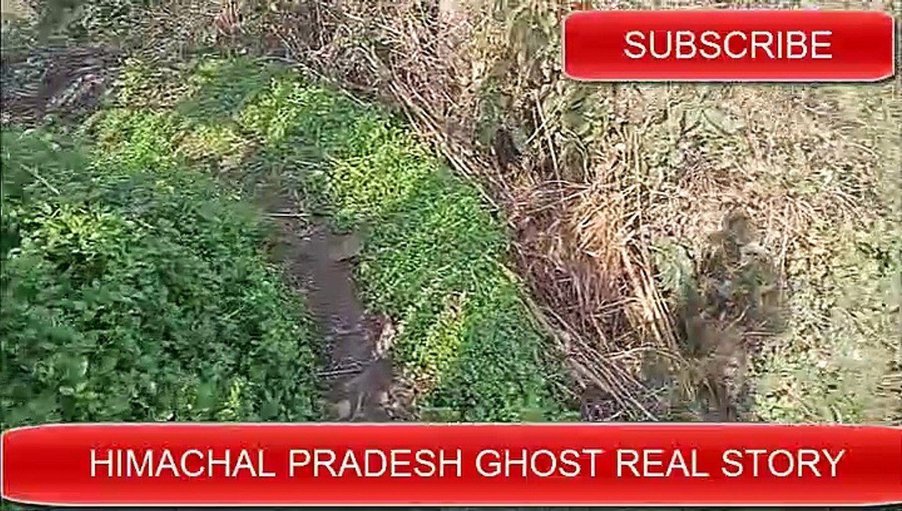 HIMACHAL PRADESH Real Horror Stories,real ghost stories of himachal pradesh