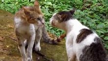 When you get angry?
