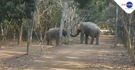 เช้าชวนคุย ช่วงที่ 1 วันจันทร์ 8 กุมภาพันธ์ 2564