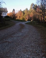 Adventurous Kitty Comes for Walks