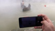 'Budaklı Kaplıcası' sıcak suda manda ve atları fotoğraflamak isteyenlerin akınına uğruyor