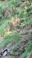 pashto new majlas 22021