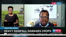 Heavy rains damage crops - Expert