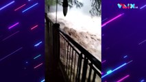 Arus Ciliwung Puncak Sangat Deras, Jakarta Waspada Banjir