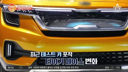 무려 500여 종 출시! 쏟아지는 '전기차' 똑똑하게 구매하는 법은?