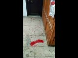 Çorum'da CHP binasına boyalı saldırı