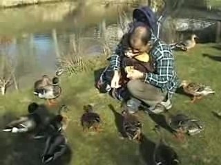 Les canards(avec papa)