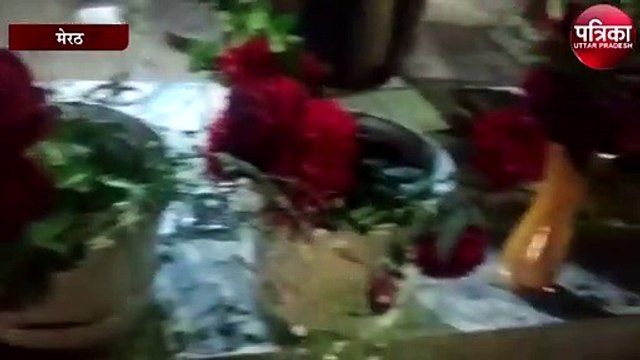 Valentine's week: रोज-डे पर मेरठ में बिके एक लाख गुलाब के फूल, देखे वीडियो