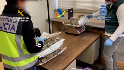 Desarticulada una mafia china dedicada presuntamente al tráfico de drogas