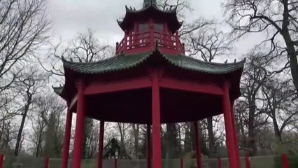 La pandemia de coronavirus hace peligrar el zoo de Berlín, el más grande del mundo
