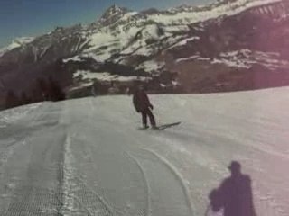 Les saisies février 2008