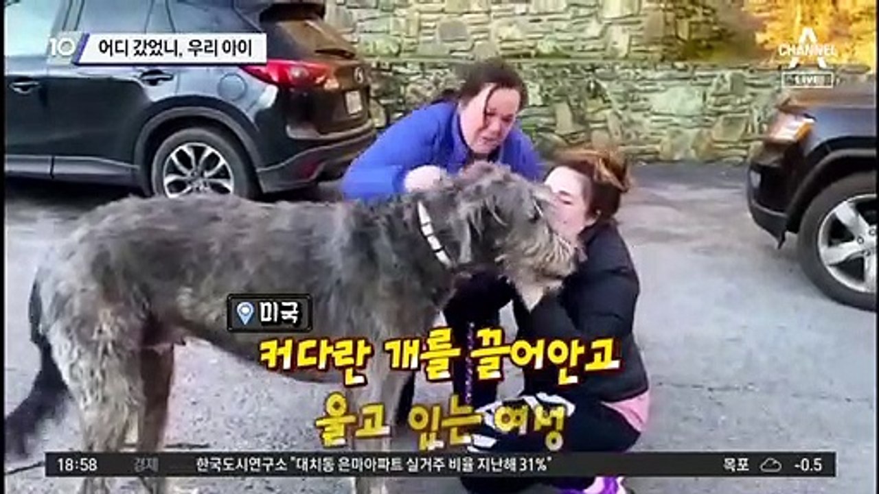 어디 갔었니, 우리 아이