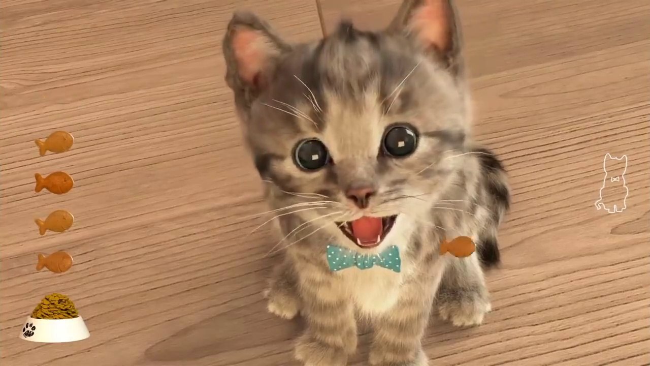 GATTINO PICCOLO