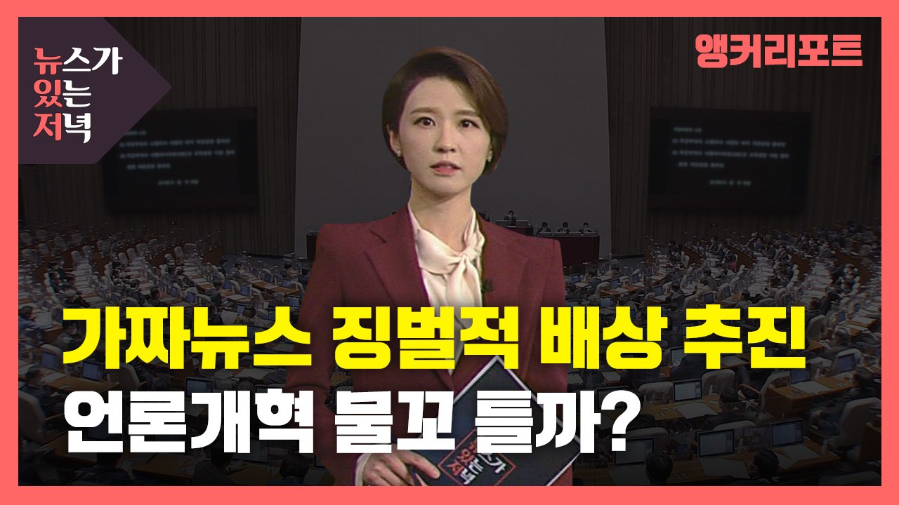 [뉴있저] '가짜뉴스 징벌적 손해배상제' 도입되나?...언론 개혁 법안 발의 잇따라...