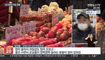 떡·소고기 등 물가 '껑충'…설 차례 비용 부담↑