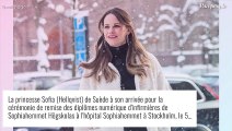 Sofia de Suède enceinte : avec son ventre rond, elle joue les princesses des neiges