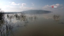İzmir'de rekor yağışların ardından Tahtalı Barajı'ndaki su seviye yüzde 55'i aştı